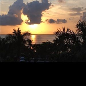 Meet your Posher, Robin